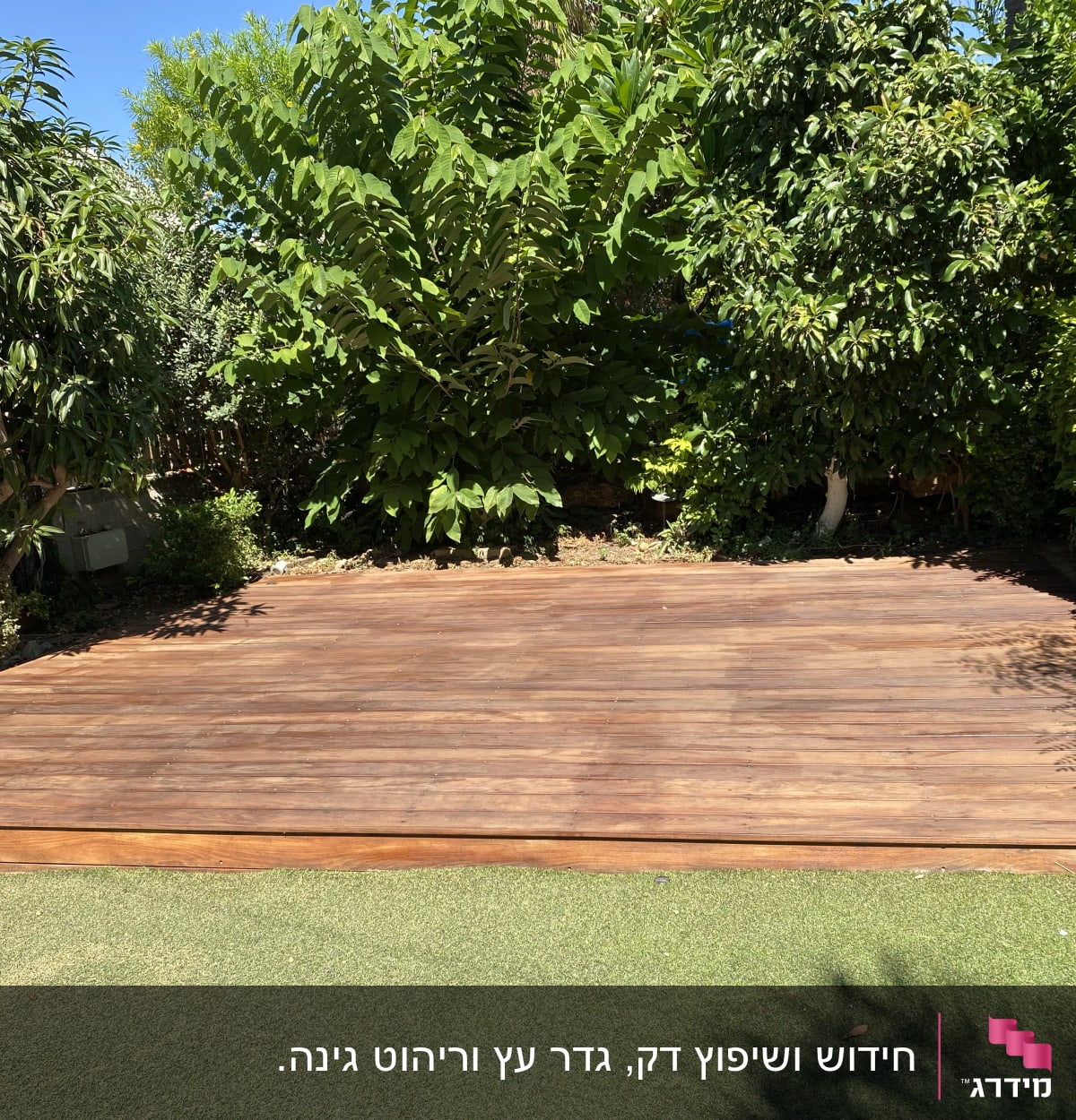 דק עץ בגינה מוקף בצמחייה ירוקה